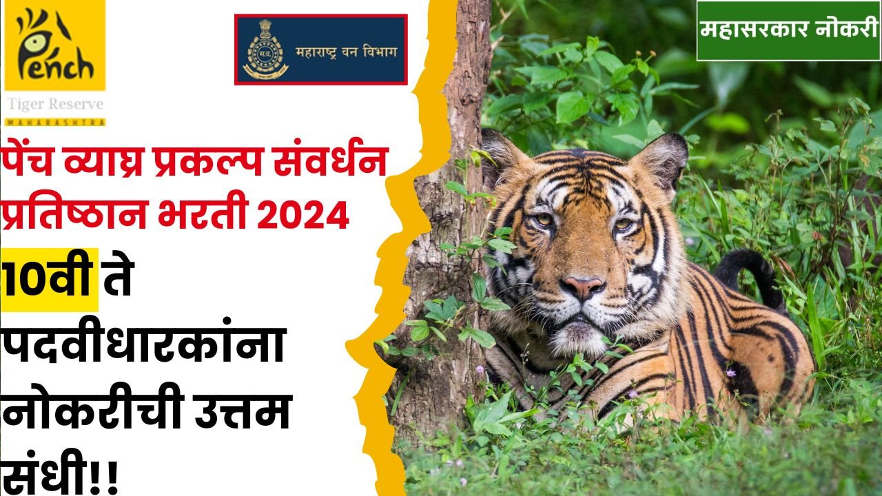 Pench Tiger Reserve Recruitment 2024