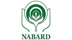 Nabard Bharti 2024